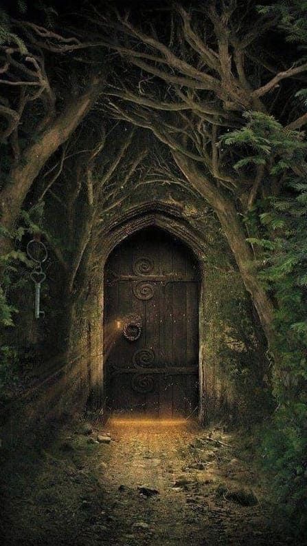 WhatsApp Image 2026-02-16 at 22.40.35